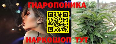 ECSTASY Обь